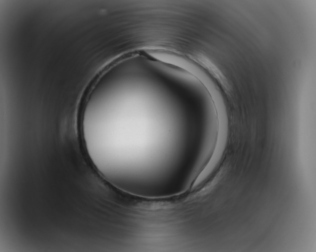 X0000089740884200707121505