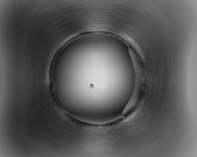 X0000089740885200707121505