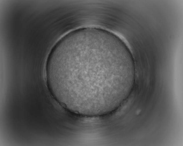 X0000089740887200707121505