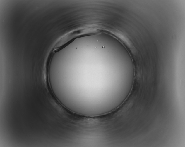 X0000089740888200707121505