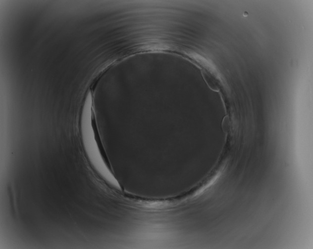 X0000089740889200707121505