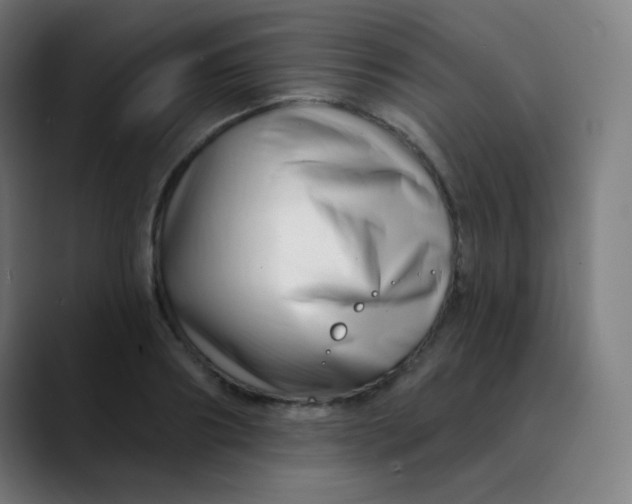 X0000089740890200707121505