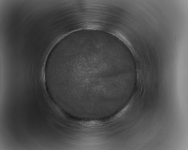 X0000089740891200707121505