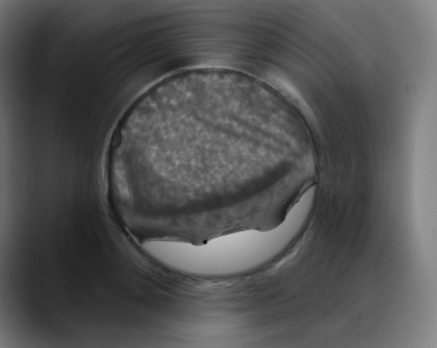 X0000089740892200707121505