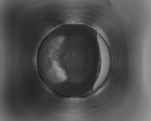 X0000089740893200707121505