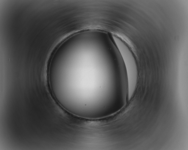 X0000089740894200707121505