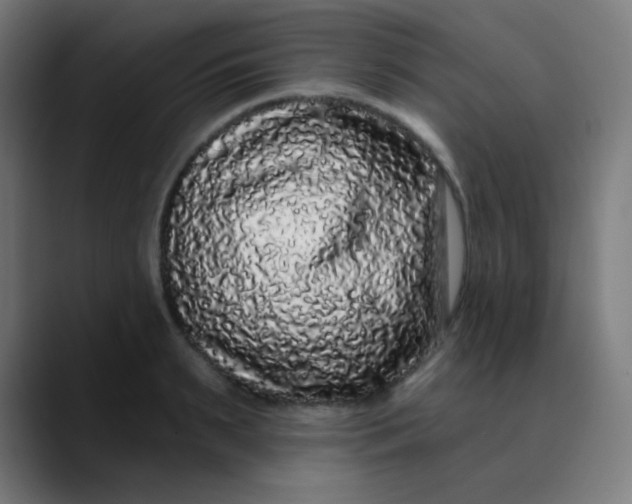 X0000089740895200707121505