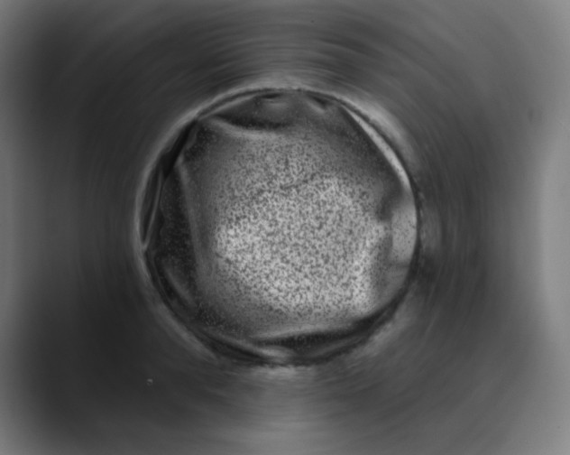 X0000089740896200707121505