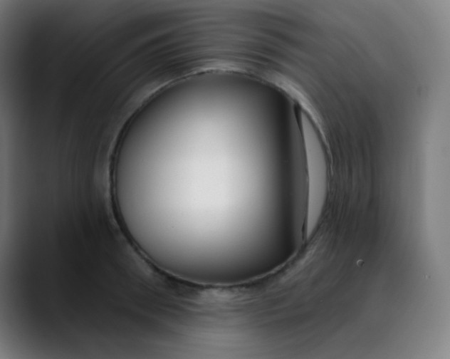 X0000089740898200707121505