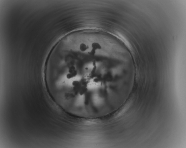 X0000089740899200707121505