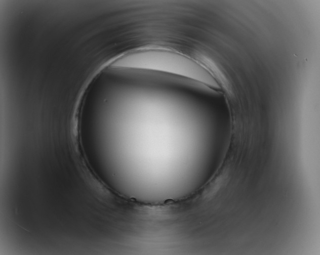 X0000089740900200707121505