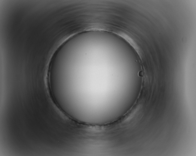 X0000089740901200707121505