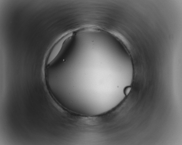 X0000089740902200707121505