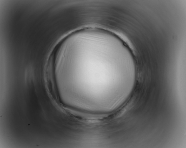 X0000089740903200707121505