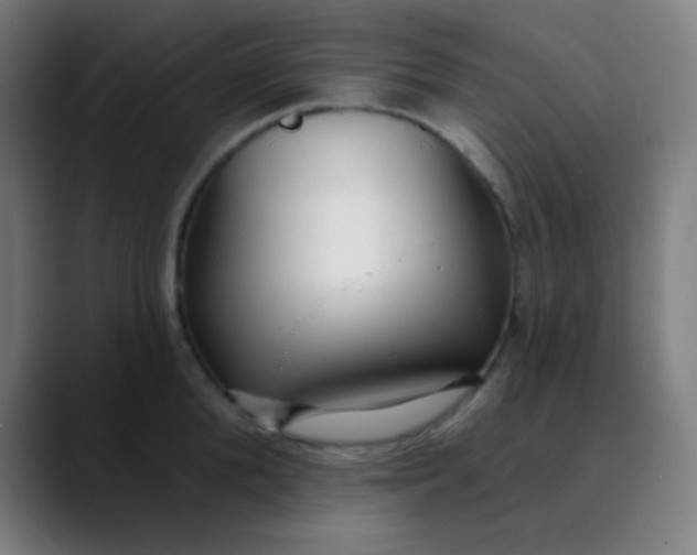 X0000089740904200707121505