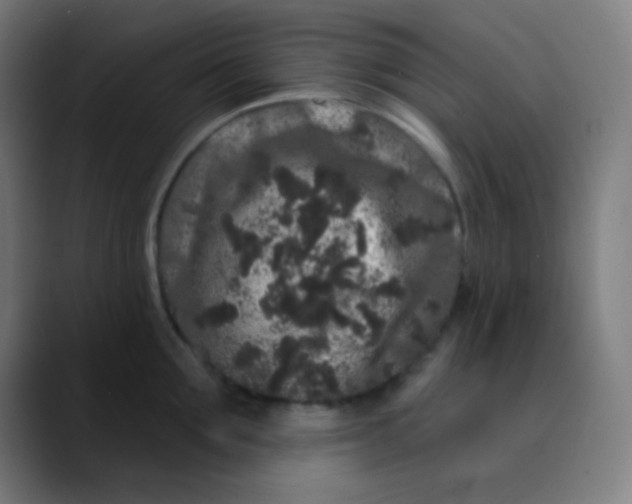 X0000089740907200707121505