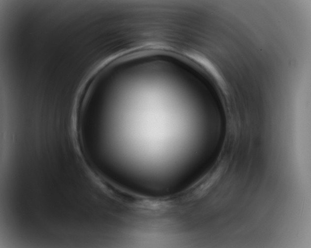 X0000089740910200707121505