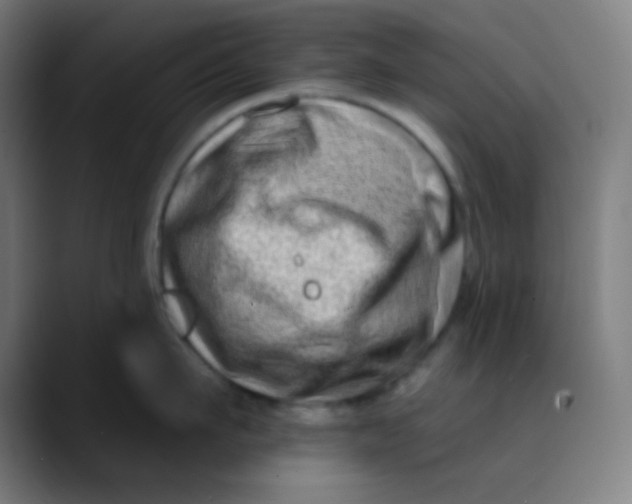 X0000089740911200707121505