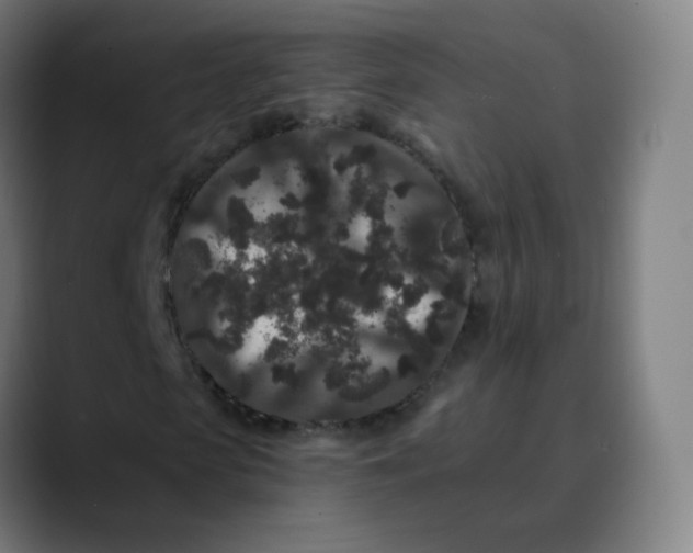 X0000089740913200707121504