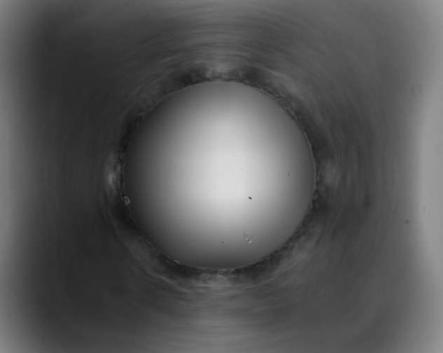 X0000089740914200707121504