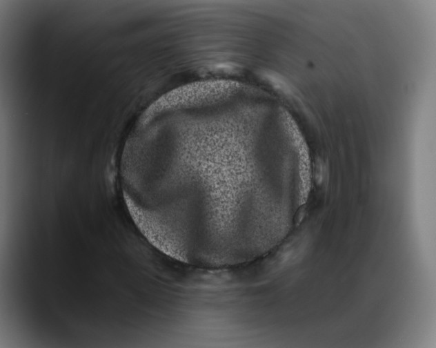 X0000089740915200707121504