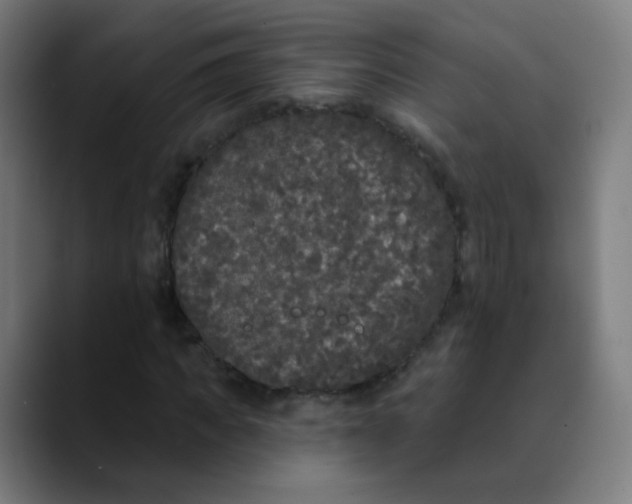 X0000089740917200707121504