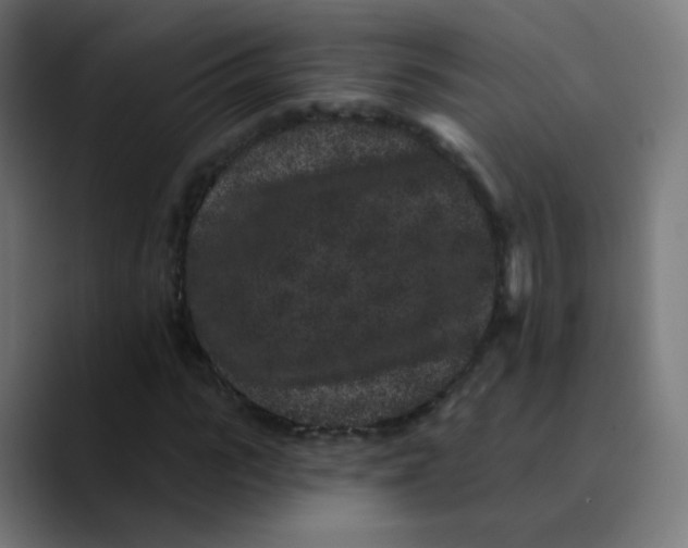 X0000089740919200707121504