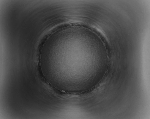 X0000089740920200707121504