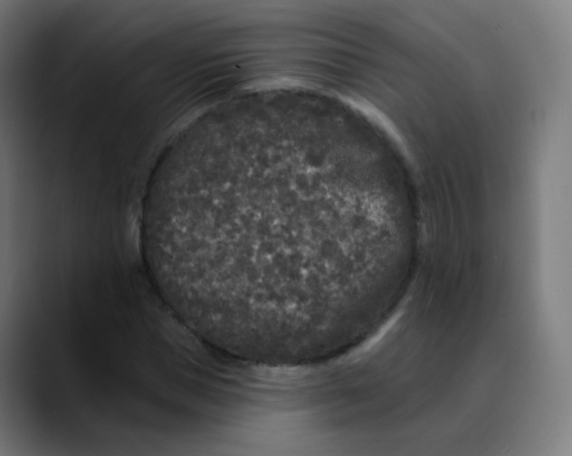 X0000089740921200707121504