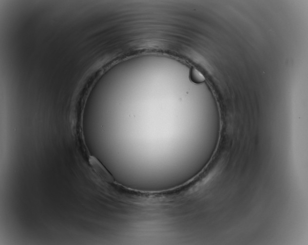 X0000089740922200707121504