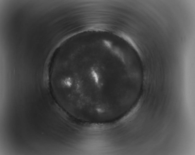 X0000089740923200707121504