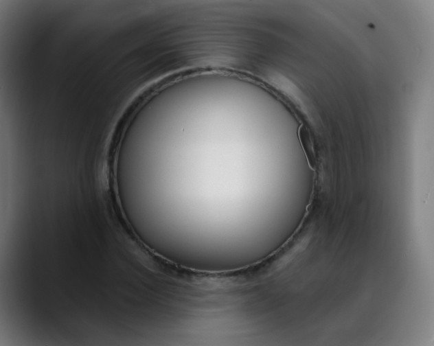 X0000089740924200707121504