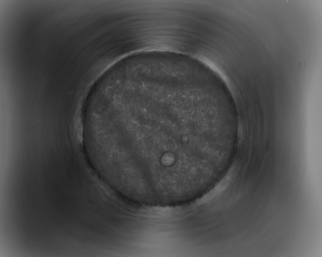 X0000089740925200707121504