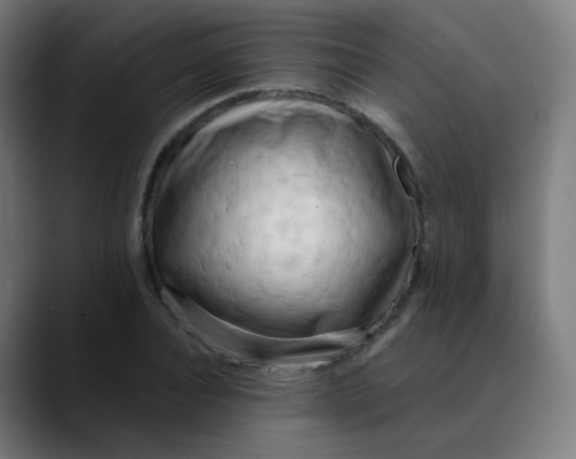 X0000089740928200707121504