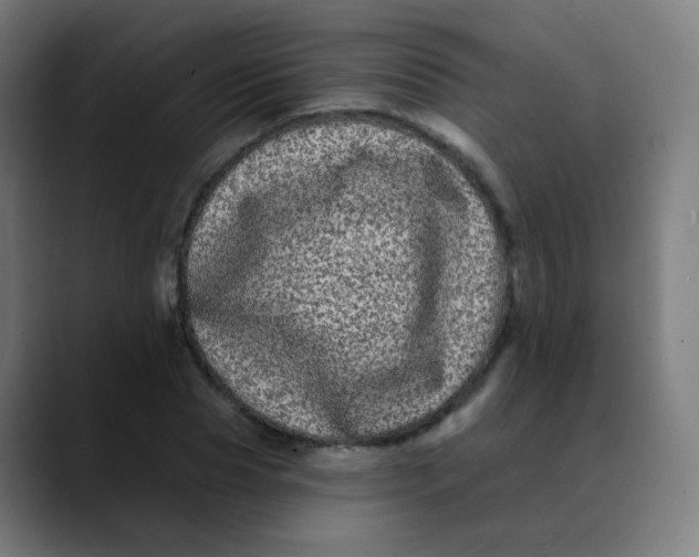 X0000089740929200707121504