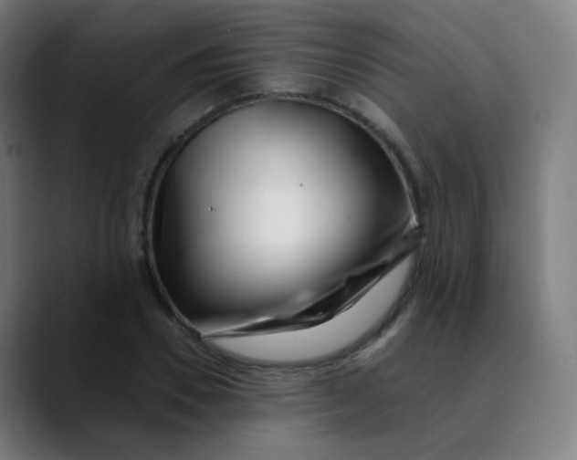 X0000089740930200707121504