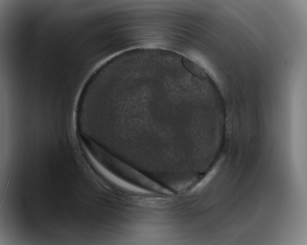 X0000089740932200707121504