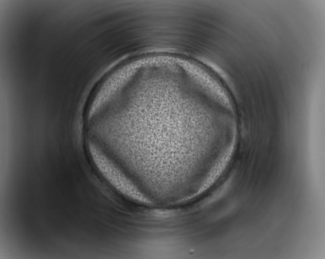 X0000089740933200707121505