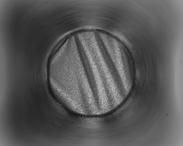 X0000089740934200707121505