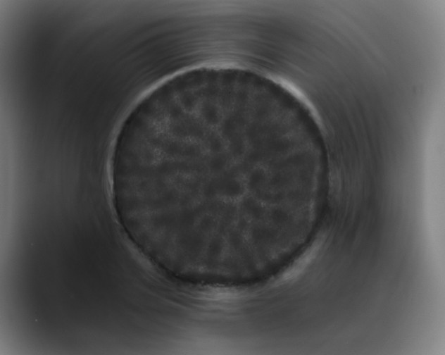 X0000089740935200707121505