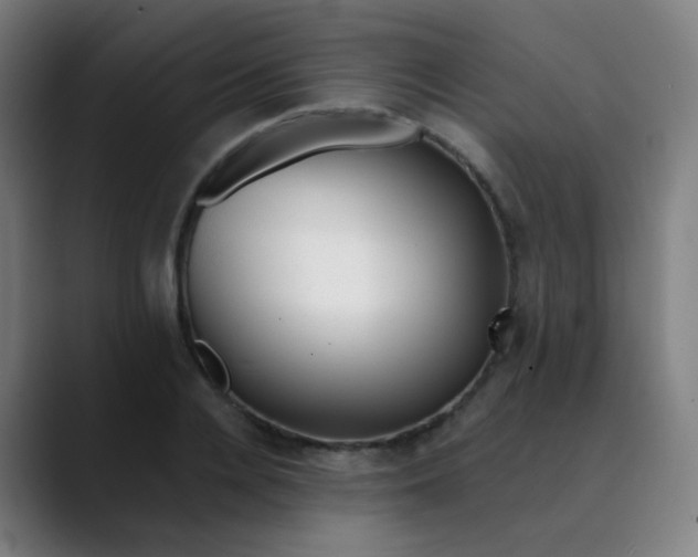 X0000089740936200707121505