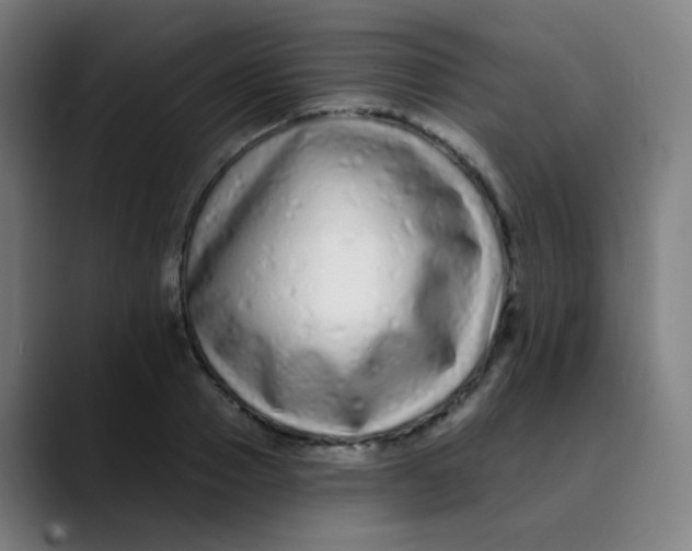 X0000089740937200707121505