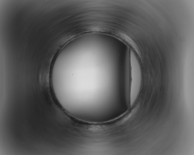 X0000089740938200707121505