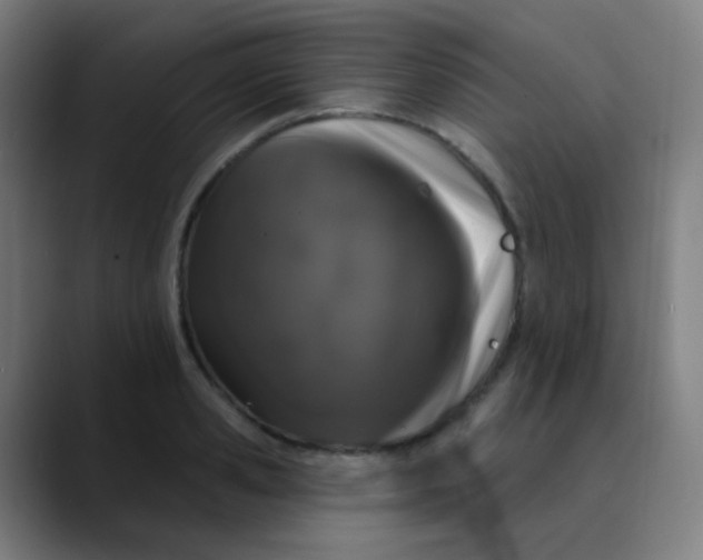 X0000089740941200707121505