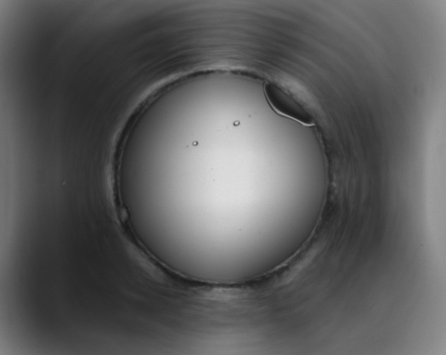 X0000089740942200707121505