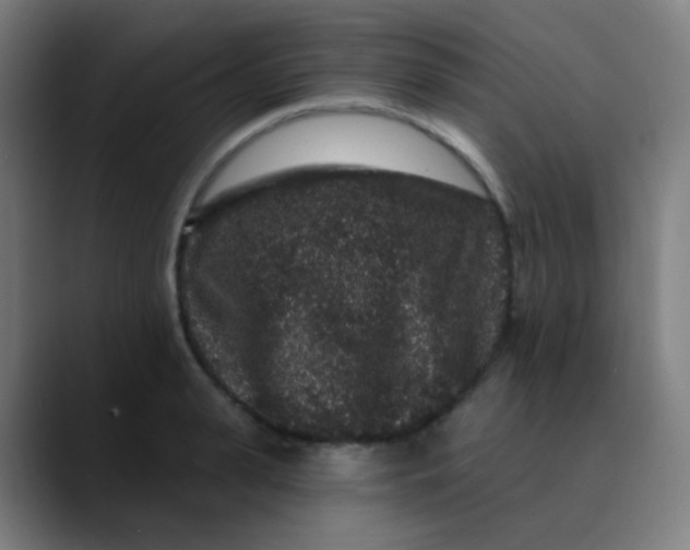 X0000089740943200707121505