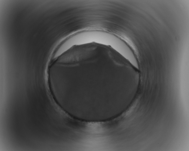 X0000089740944200707121505