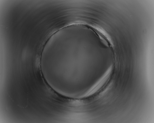 X0000089740945200707121505