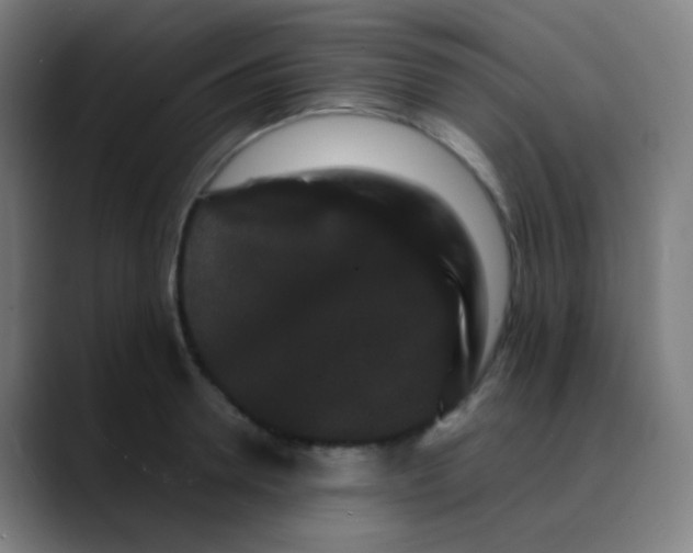 X0000089740946200707121505