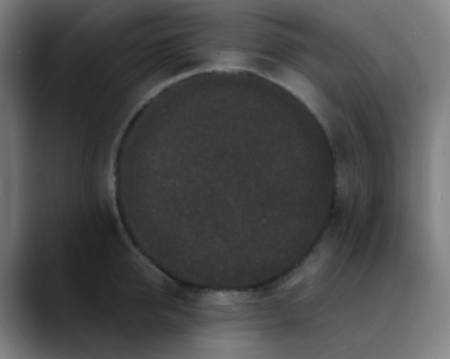 X0000089740950200707121505